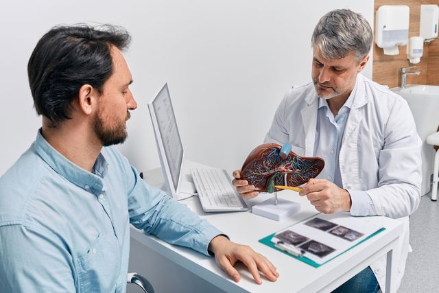 Médico mostrando un modelo del hígado a un paciente