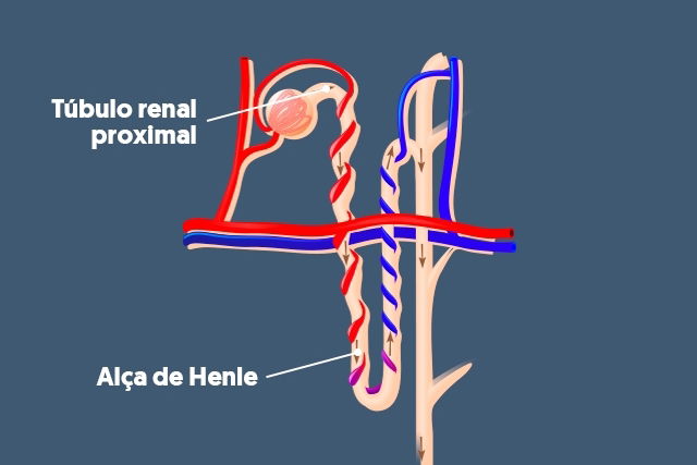 Imagem ilustrativa número 3