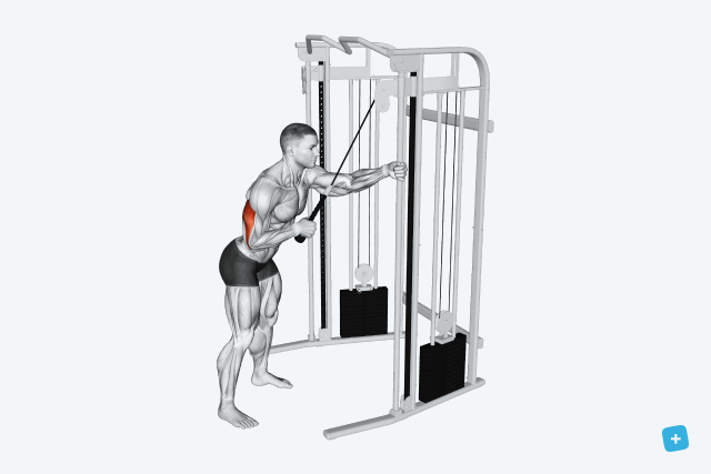 Imagem ilustrativa número 18