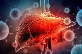 Imagen ilustrativa del artículo Hepatitis A: cómo se contagia, síntomas y tratamiento