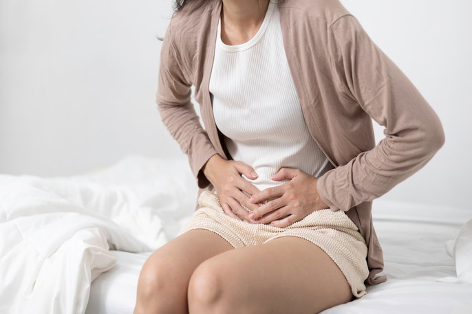 Imagem ilustrativa número 1