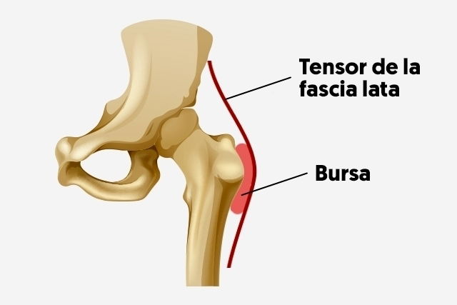 Imagem ilustrativa número 1