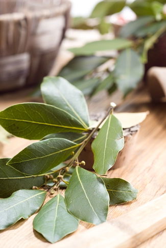 Bay leaves on a table