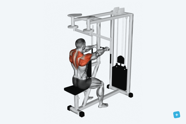 Imagem ilustrativa número 8