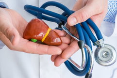 Image illustrative de l'article Stéatose hépatique: symptômes, causes et traitement
