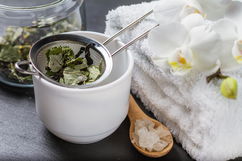 Imagem ilustrativa do artigo Banho de boldo: para que serve e como fazer