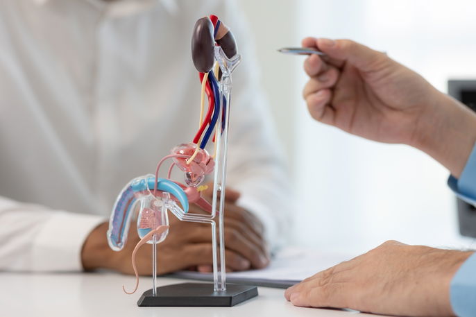 Imagem ilustrativa número 1