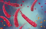 Imagen ilustrativa del artículo ¿Tengo Helicobacter Pylori puedo contagiar a mi familia?
