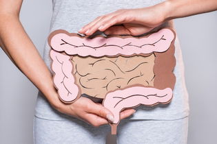 Illustrative image of the article What Causes White Poop? 7 Reasons (& When to Worry)