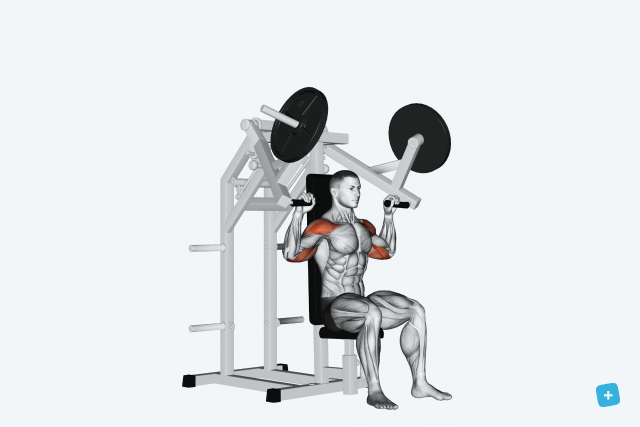 Imagem ilustrativa número 16