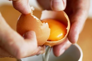 Illustrative image of the article How Many Eggs Can You Eat a Day? (& How to Make Them)