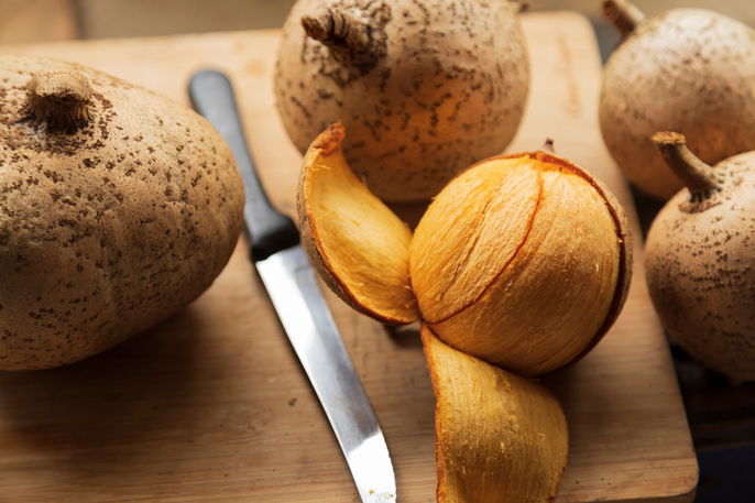 Imagem ilustrativa número 1