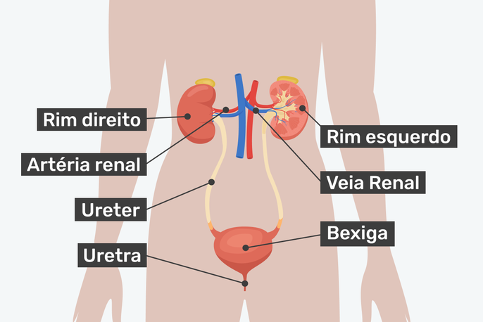 Imagem ilustrativa número 1