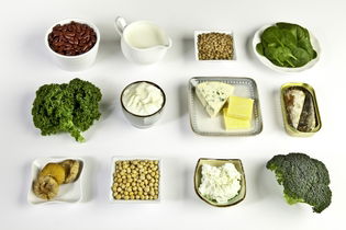 Illustrative image of the article 34 Calcium-Rich Foods (& Daily Calcium Recommendation)