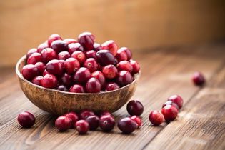 Image illustrative de l'article Cranberry : ce que c'est, bienfaits (et comment consommer)