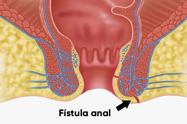 Imagem ilustrativa número 2