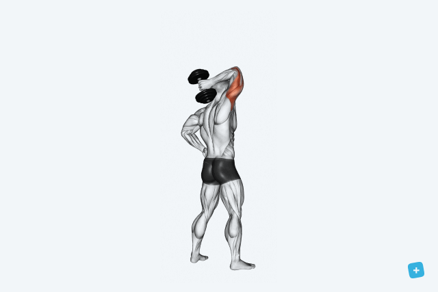 Imagem ilustrativa número 11