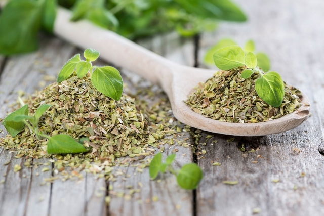 9 Oregano Benefits for Your Health (& How to Use It) - Tua Saúde