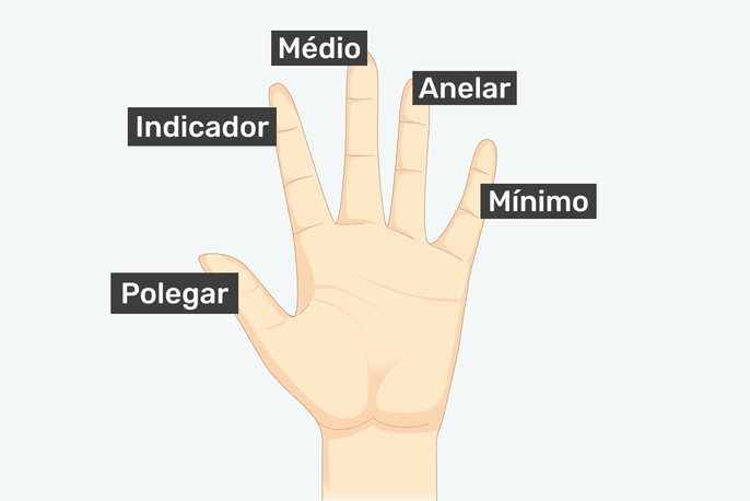 Imagem ilustrativa número 2