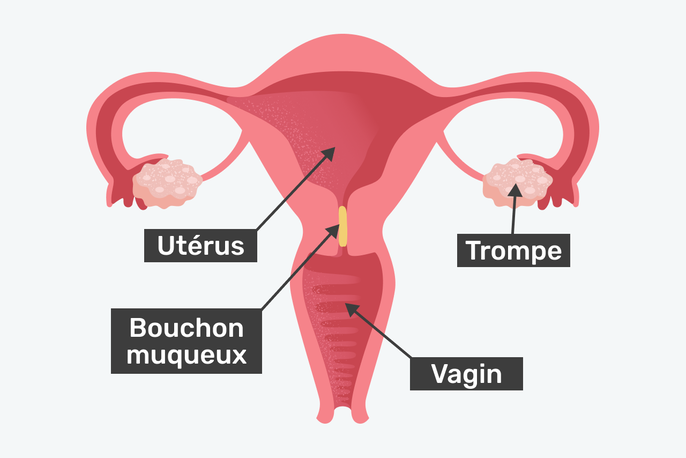 Imagem ilustrativa número 3