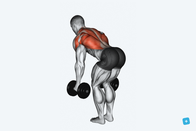 Illustrative image of the article Full-Body Dumbbell Workout: 6 Exercises (w/ GIFs)