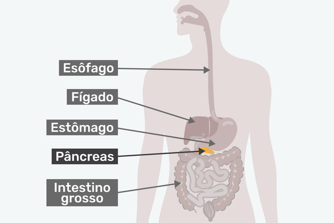 Imagem ilustrativa número 2