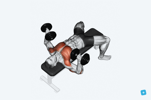 Imagem ilustrativa número 10