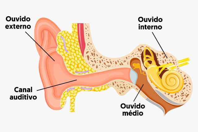 Imagem ilustrativa número 1