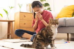 Imagem ilustrativa do artigo Rinite alérgica: sintomas, o que causa e tratamento (tem cura?)