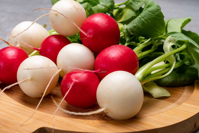 Imagem ilustrativa número 1