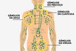 Imagem ilustrativa do artigo Gânglios linfáticos: o que são, função e onde ficam