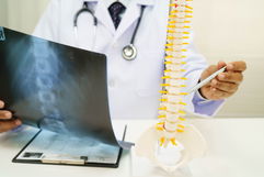 Imagen ilustrativa del artículo Columna vertebral: qué es, partes, anatomía y enfermedades