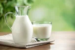 Image illustrative de l'article Lait sans lactose: 5 bienfaits (et comment consommer)