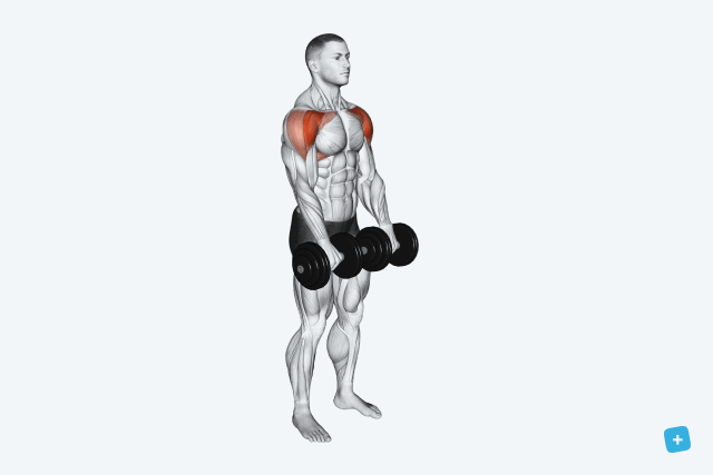 Imagem ilustrativa número 3