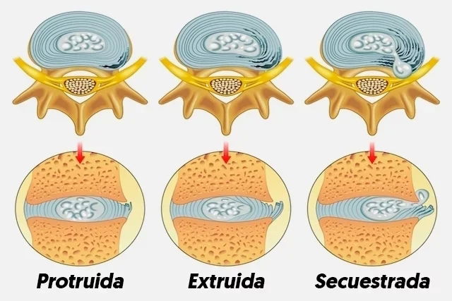 Imagem ilustrativa número 5