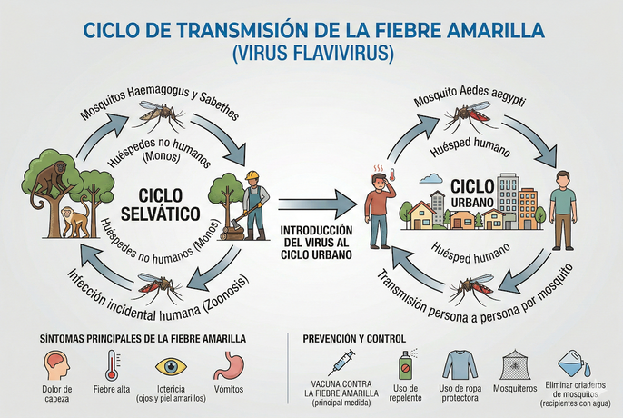 Imagen generada por IA
