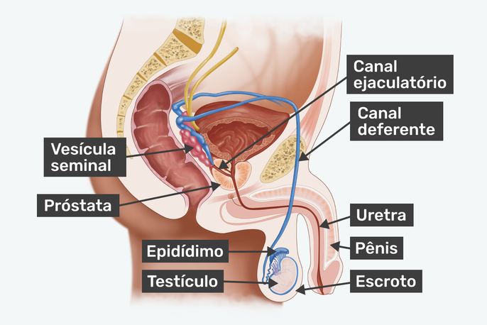 Imagem ilustrativa número 1