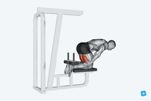 Imagem ilustrativa número 30