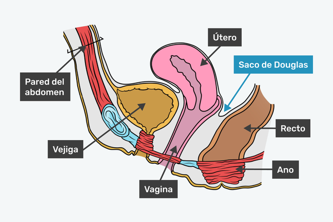 Imagem ilustrativa número 2