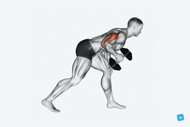 Imagem ilustrativa número 3