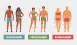 Illustrative image of the article Body Types Quiz: What Ectomorph, Mesomorph & Endomorph Mean