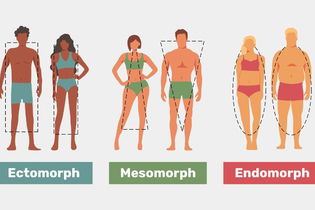 Illustrative image of the article Body Types Quiz: What Ectomorph, Mesomorph & Endomorph Mean