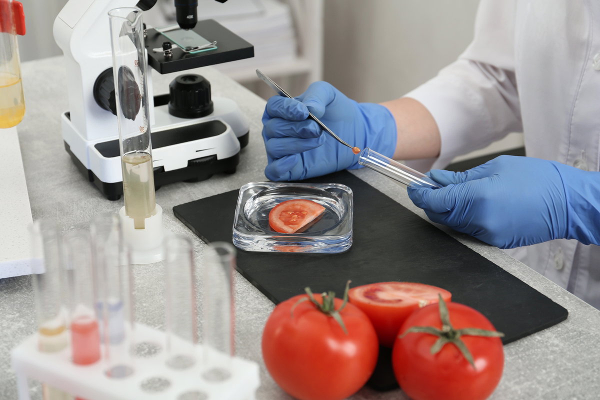 Alimentos Transgênicos: O Que São E Porque Podem Fazer Mal