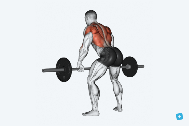 Illustrative image of the article 9 Lat Exercises for Toning & Strengthening (w/ Workout Plans)