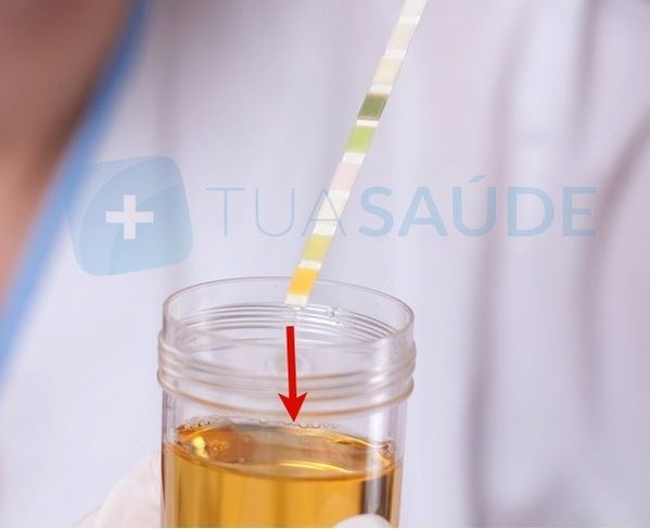 Imagem ilustrativa número 2