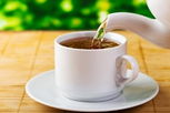 Illustrative image of the article 6 Echinacea Benefits & How to Use (Tea, Capsules & Compresses)