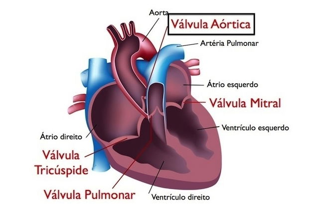 Imagem ilustrativa número 1