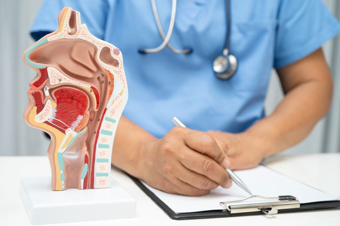 Imagem ilustrativa número 1