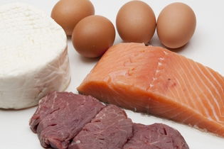 Illustrative image of the article High Protein Diet: What to Eat & Avoid (with 1-Week Meal Plan)