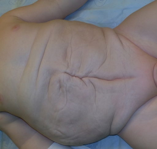 Imagem ilustrativa número 2